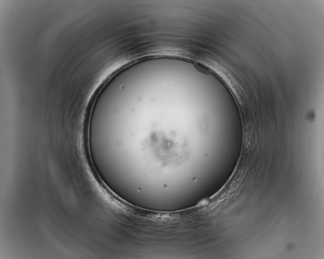 X0000100221139200806131308