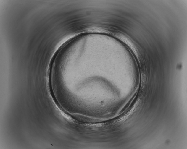 X0000100221141200806131308