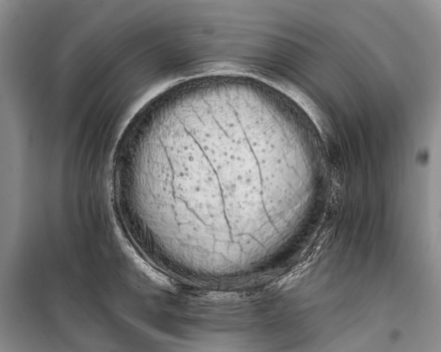 X0000100221142200806131308