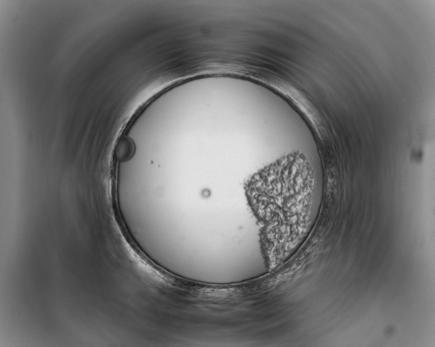 X0000100221143200806131308