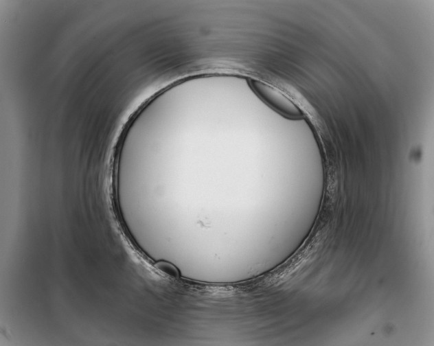 X0000100221144200806131308