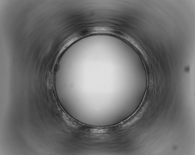 X0000100221145200806131308