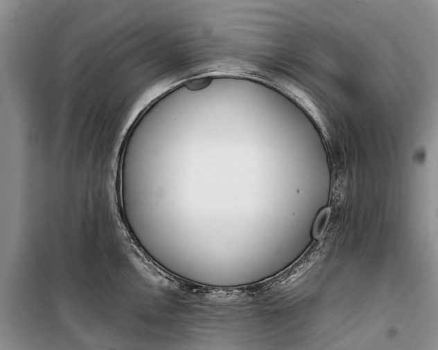 X0000100221146200806131308