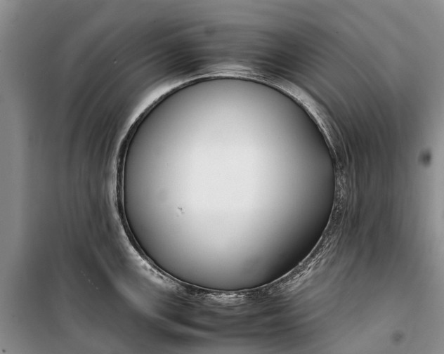 X0000100221147200806131308