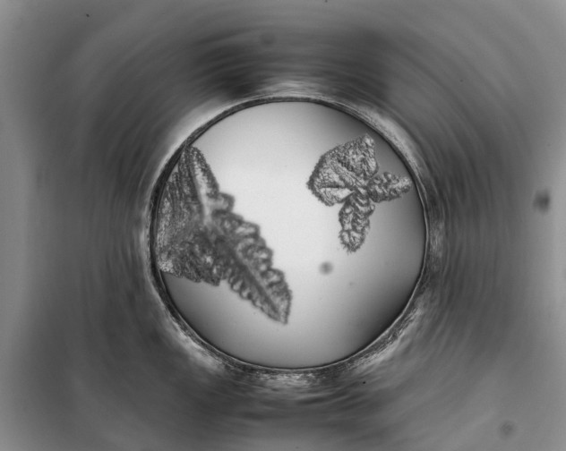 X0000100221149200806131308