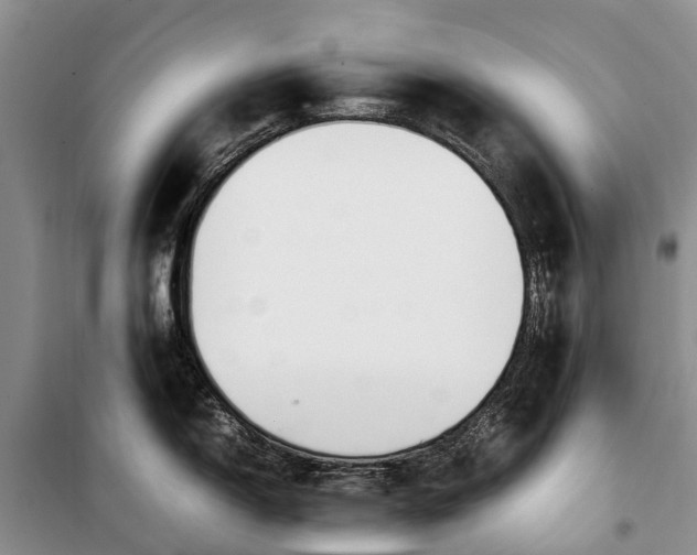 X0000100221150200806131308