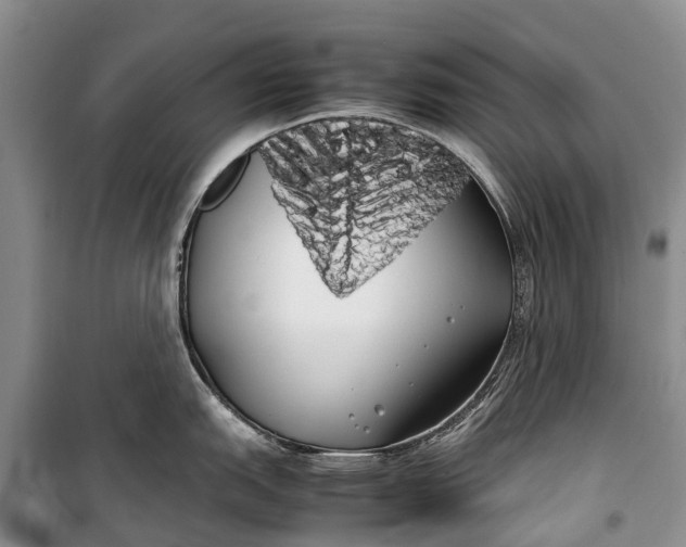 X0000100221151200806131309