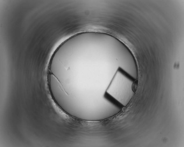 X0000100221152200806131309