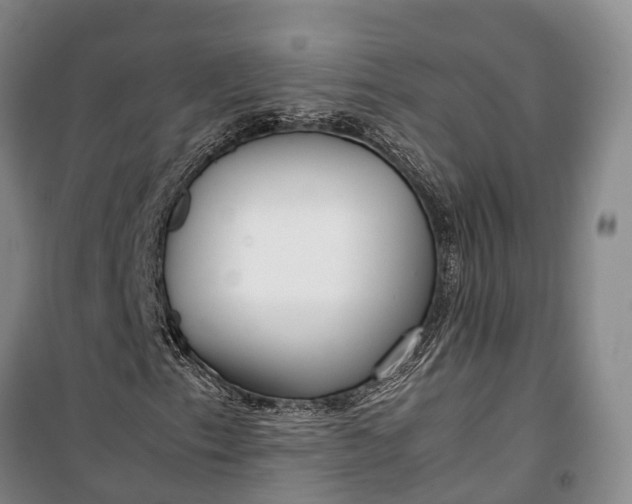 X0000100221153200806131308