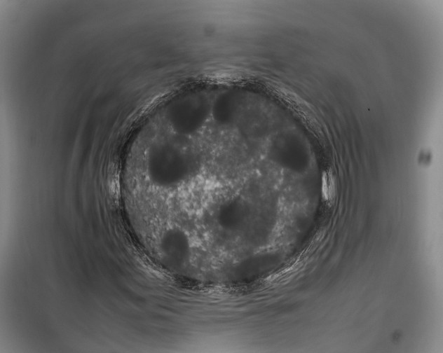 X0000100221155200806131308