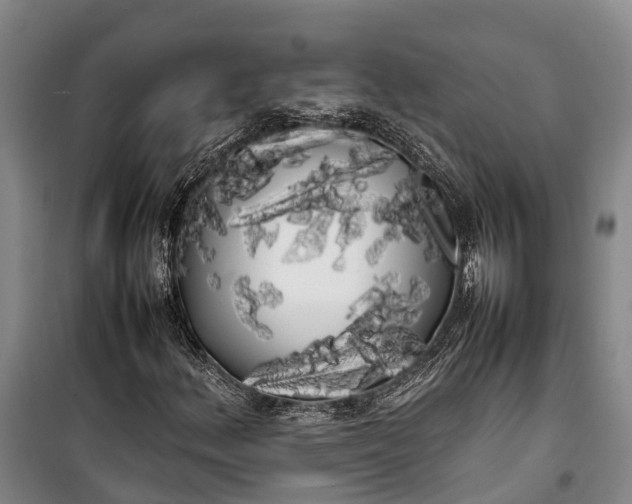 X0000100221156200806131308