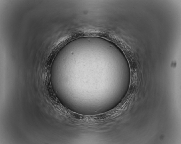 X0000100221157200806131308