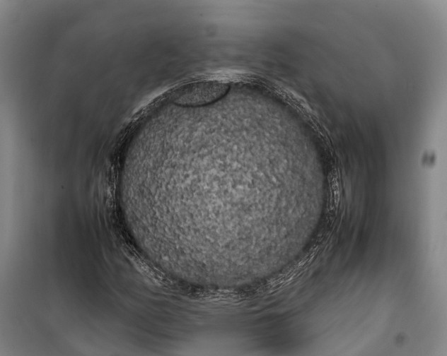 X0000100221158200806131308