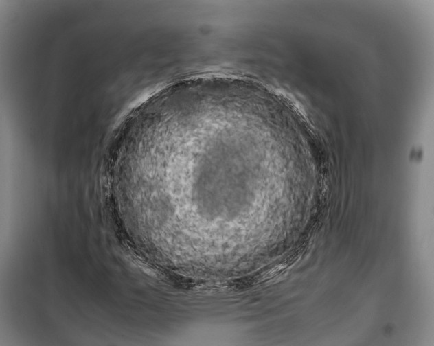 X0000100221159200806131308