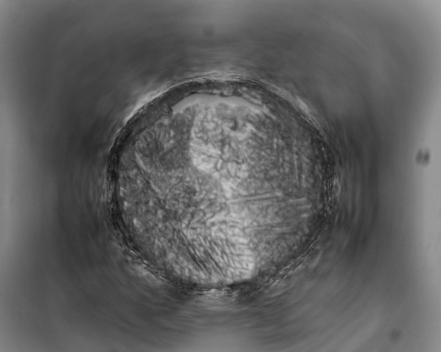 X0000100221160200806131308