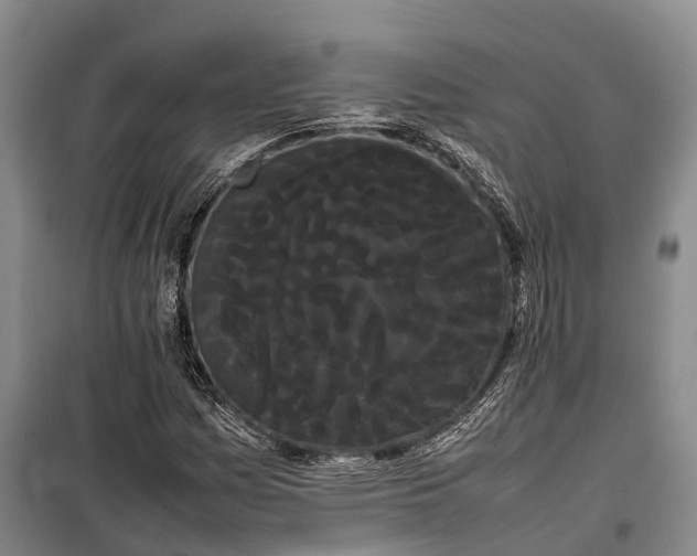 X0000100221161200806131308