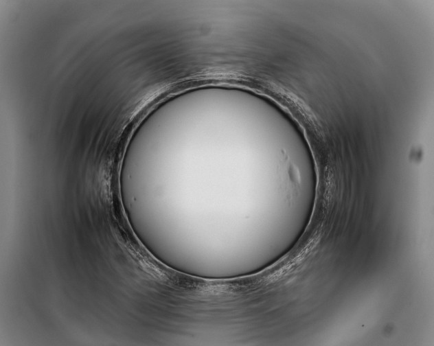 X0000100221162200806131308