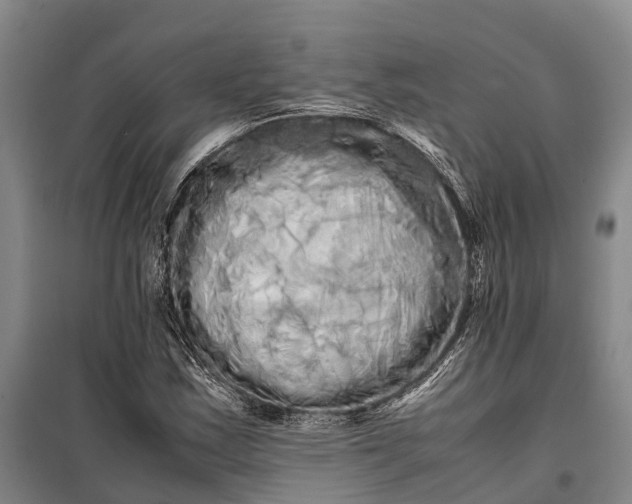 X0000100221163200806131308