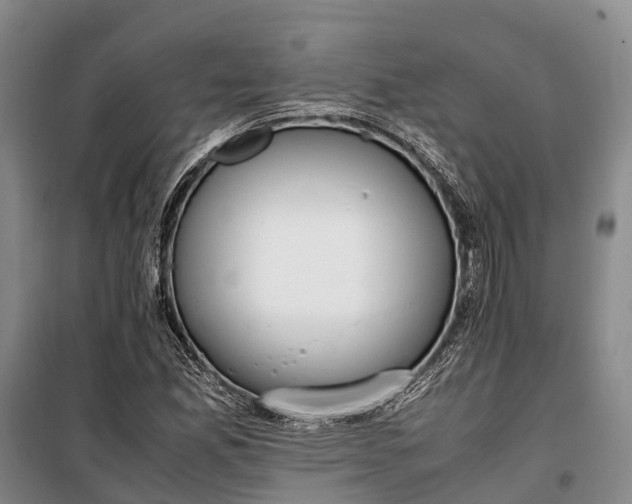 X0000100221165200806131308