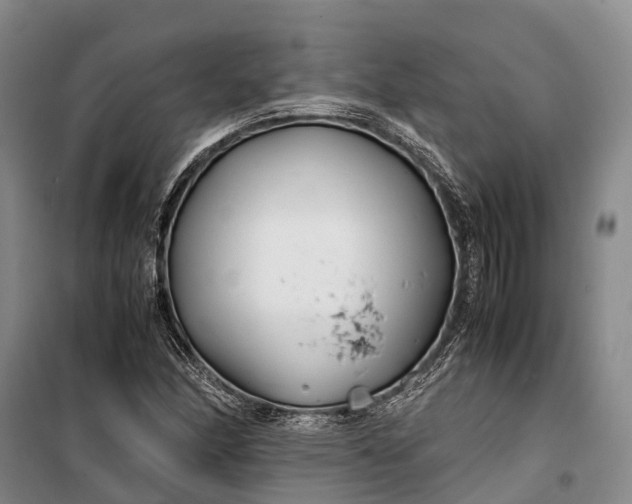 X0000100221166200806131308