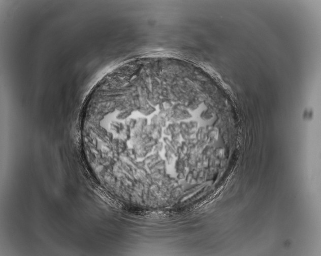 X0000100221167200806131308