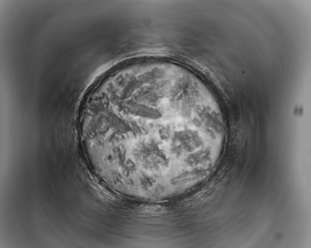 X0000100221168200806131308