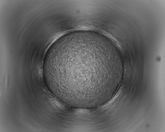 X0000100221170200806131308