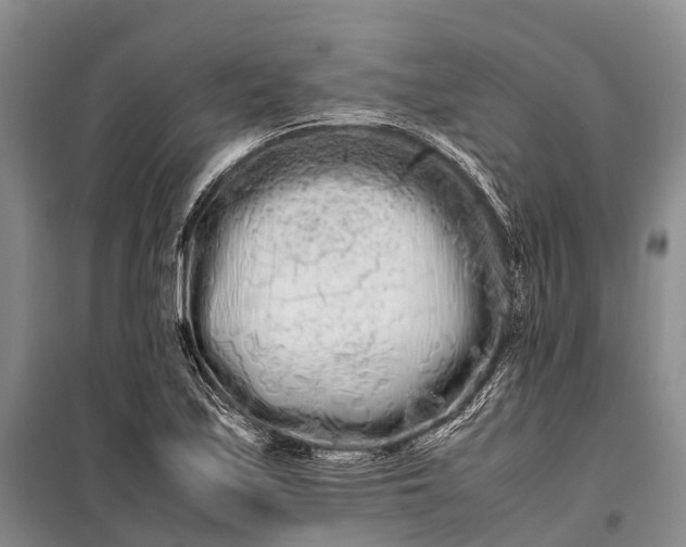 X0000100221171200806131308