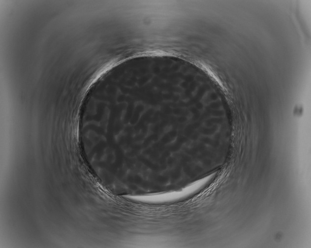 X0000100221173200806131308