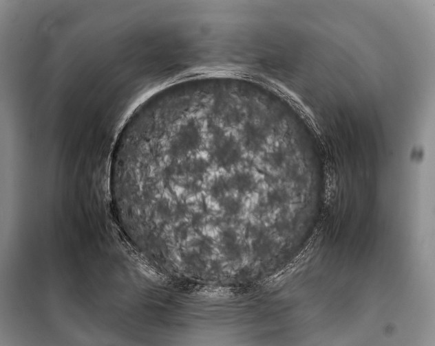 X0000100221174200806131308