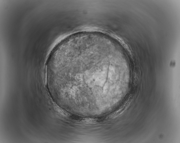 X0000100221175200806131308