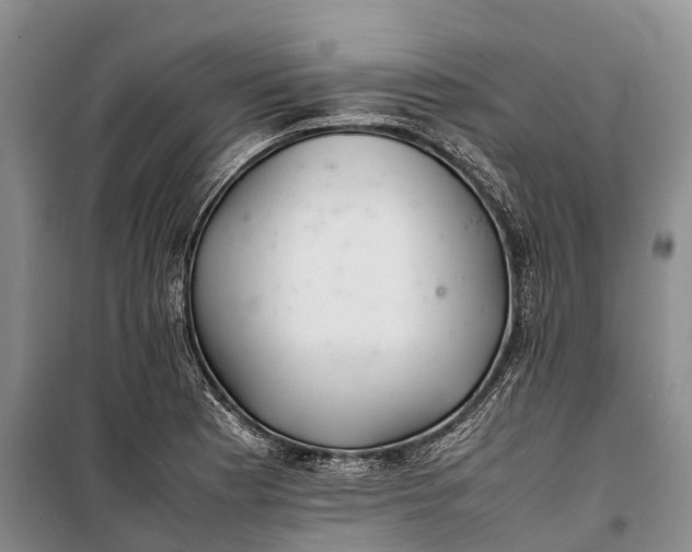 X0000100221177200806131308