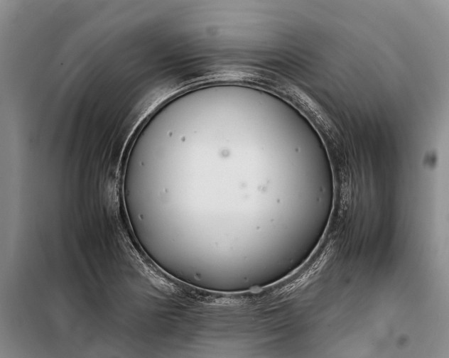 X0000100221178200806131308