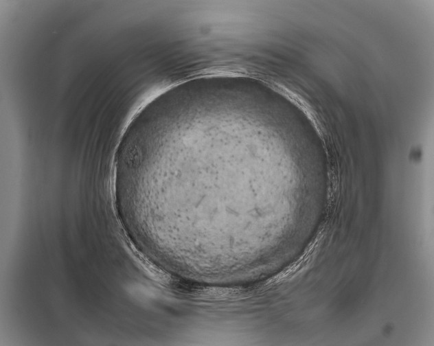 X0000100221179200806131307