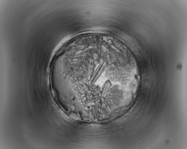 X0000100221180200806131307