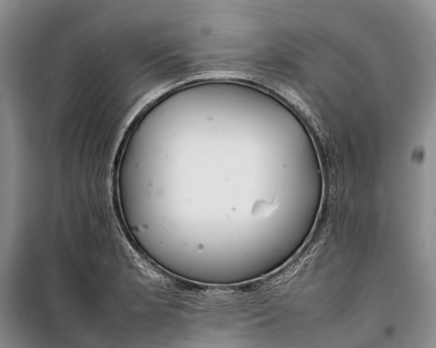 X0000100221181200806131307