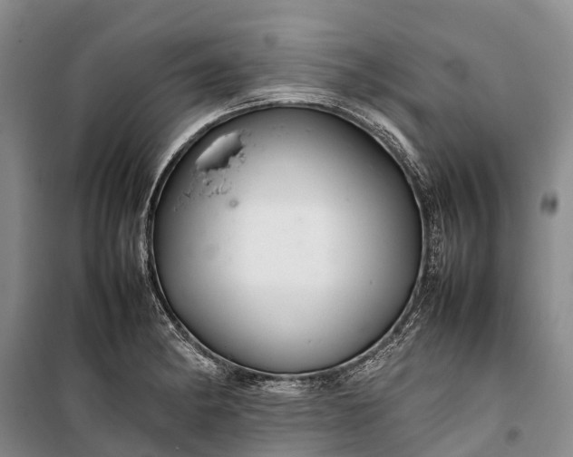 X0000100221182200806131307