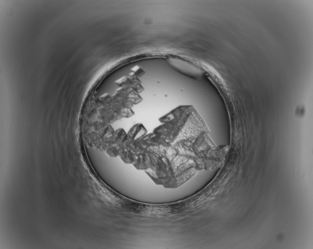 X0000100221183200806131307