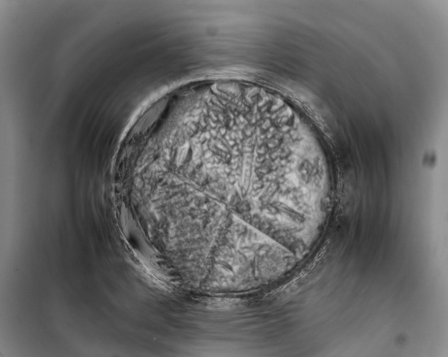 X0000100221184200806131307