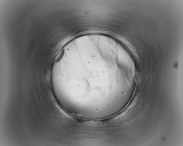 X0000100221185200806131307