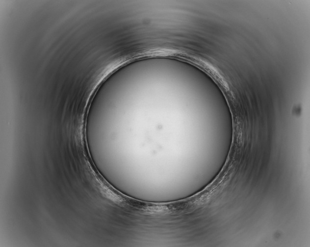 X0000100221186200806131307