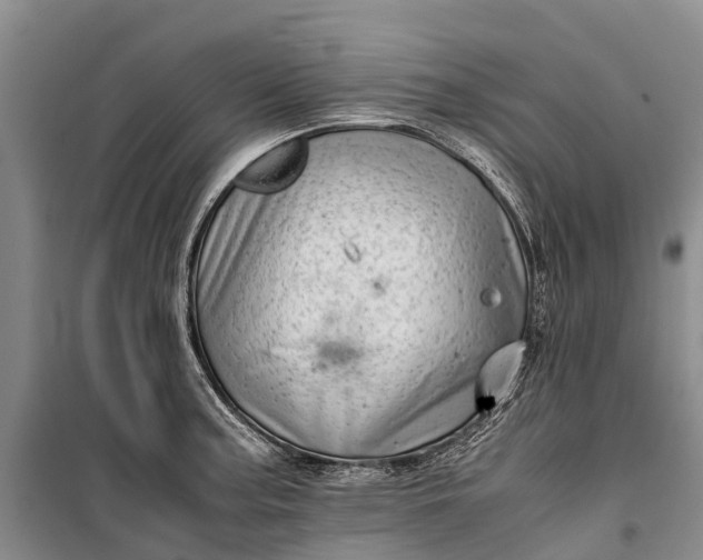 X0000100221187200806131307