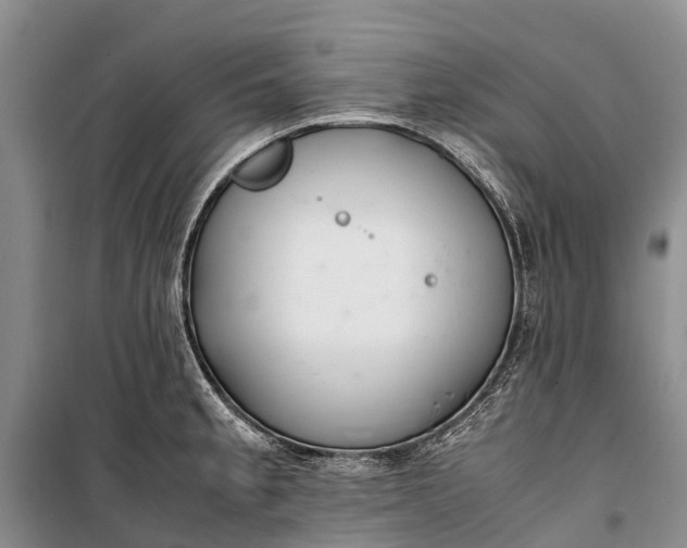 X0000100221189200806131307