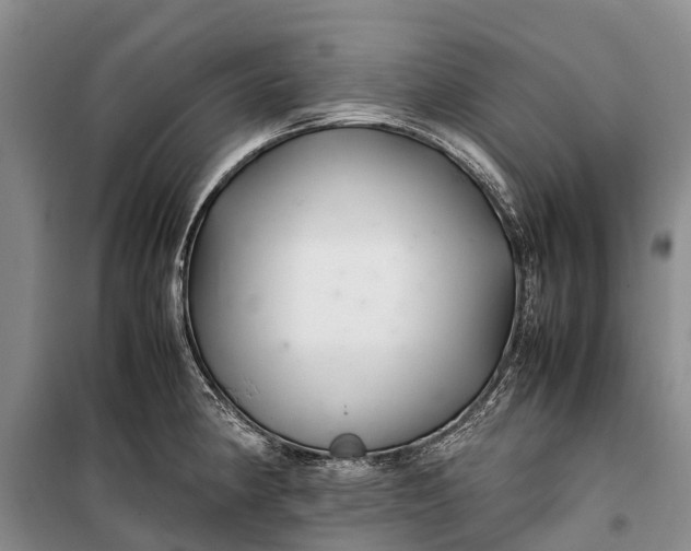 X0000100221190200806131307