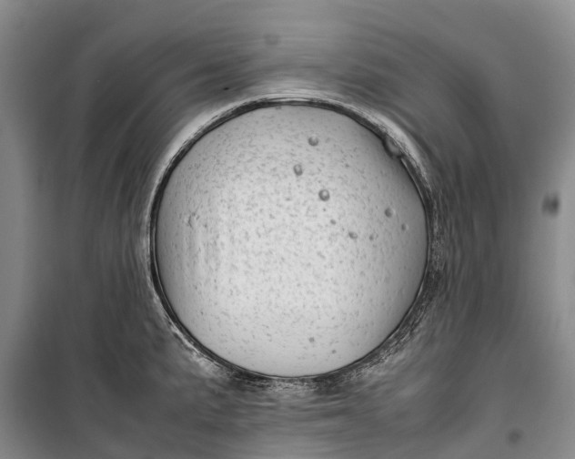 X0000100221191200806131307