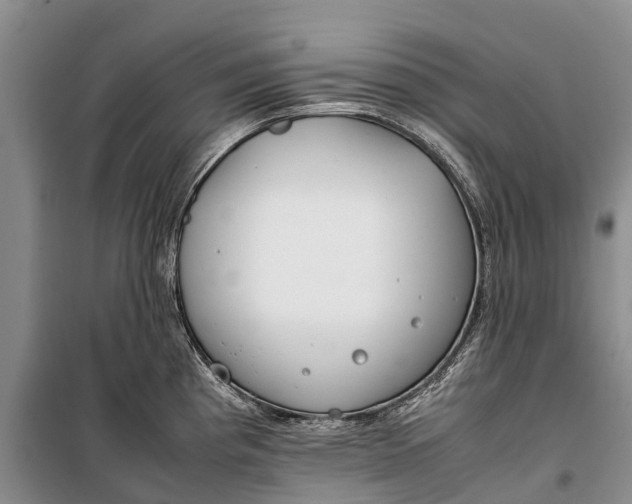 X0000100221193200806131307