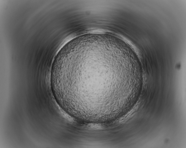 X0000100221194200806131307