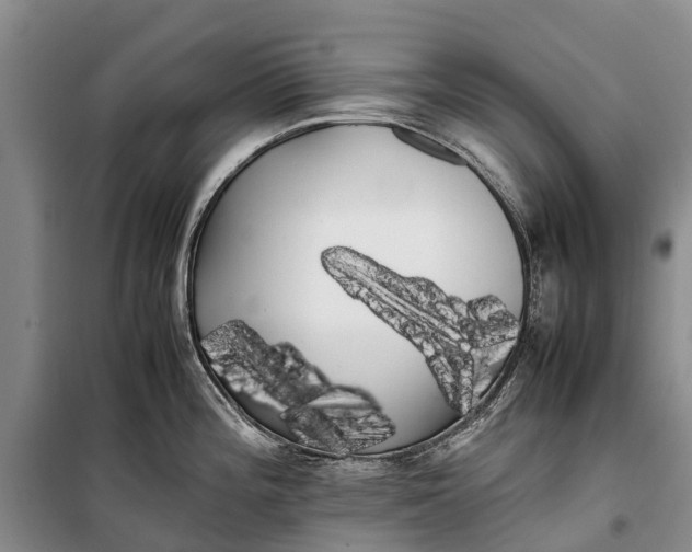 X0000100221196200806131307