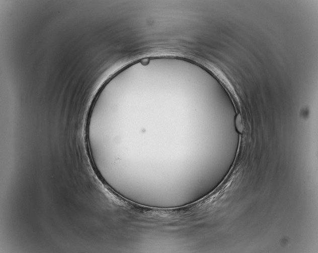 X0000100221197200806131307