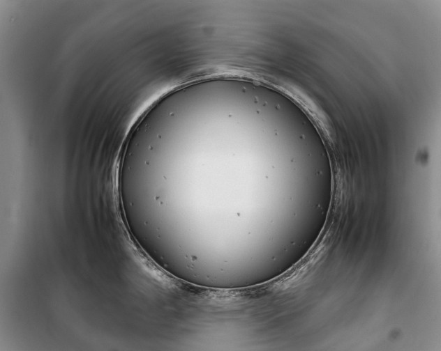 X0000100221198200806131307